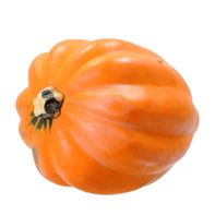 Organic Acorn Squash️