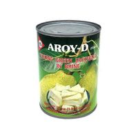 Aroy-D Young Green Jack Fruit in Brine️