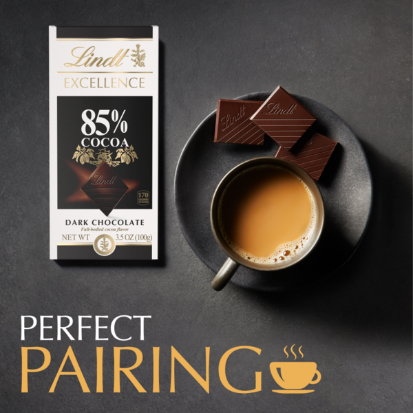 Lindt Excellence 85% Cocoa Dark Chocolate Candy Bar