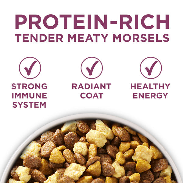 Purina ONE Natural, High Protein Dry Puppy Food, +Plus Healthy Puppy Formula