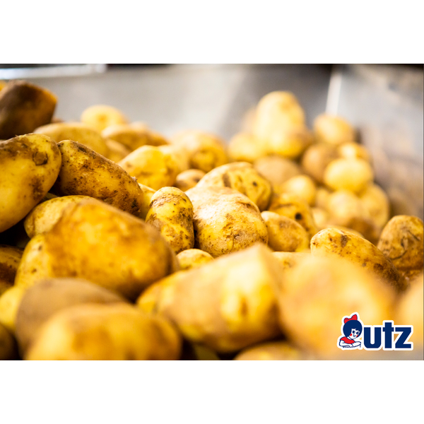 Utz Honey Barbeque Potato Chips