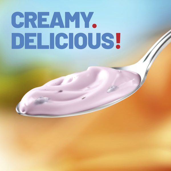 Yoplait Light Blueberry Patch Fat Free Yogurt Cup