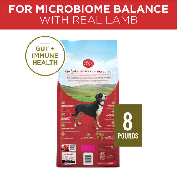 Purina ONE Dry Dog Food Lamb and Rice Formula