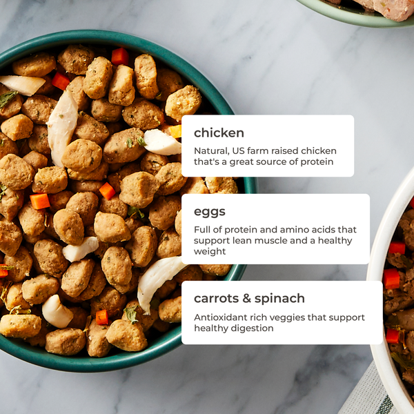 Freshpet Fresh Dog Food, Freshly Roasted Meals, Tender Chicken Recipe DestGlow