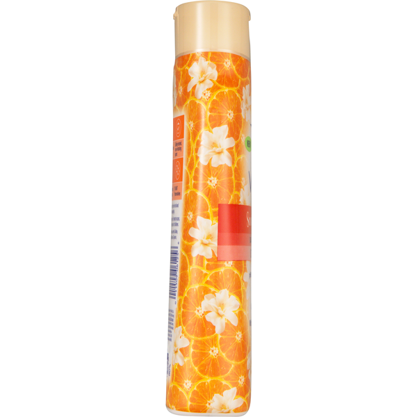 Vagisil Intimate Wash, Daily, Citrus Paradise