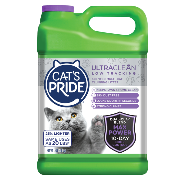 Cat&