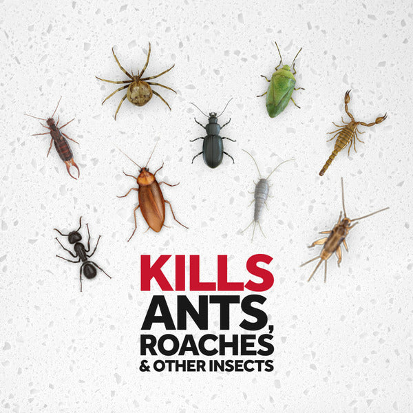 Raid Ant and Roach Killer Insecticide Aerosol Spray, Outdoor Fresh® Scent