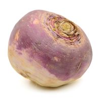 Rutabaga️