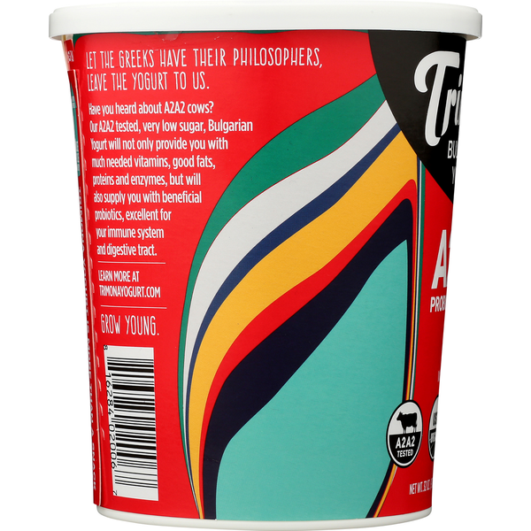 Trimona Yogurt, Bulgarian, Plain, Whole Milk
