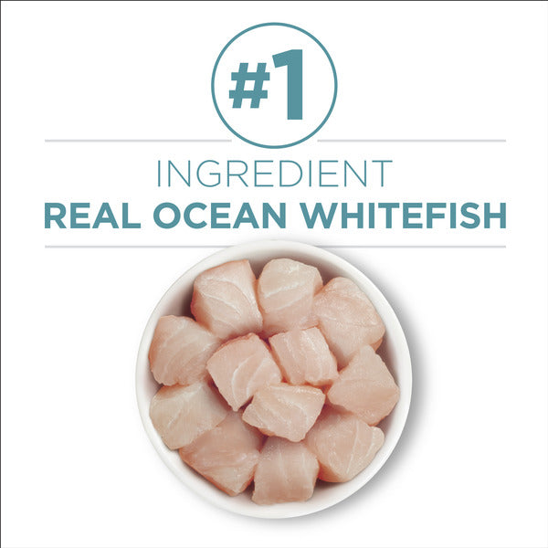 Purina ONE Indoor, Natural, High Protein Pate Wet Cat Food, Indoor Advantage Ocean Whitefish & Rice