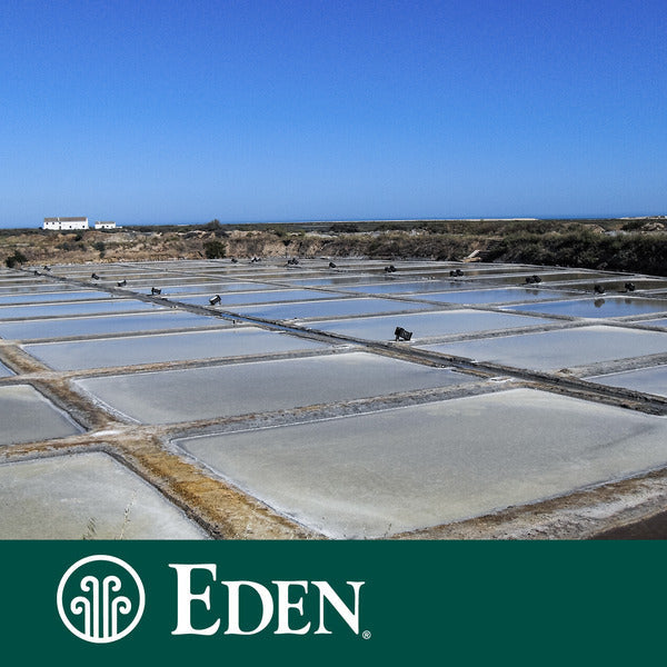 Eden Foods Sea Salt, French Celtic