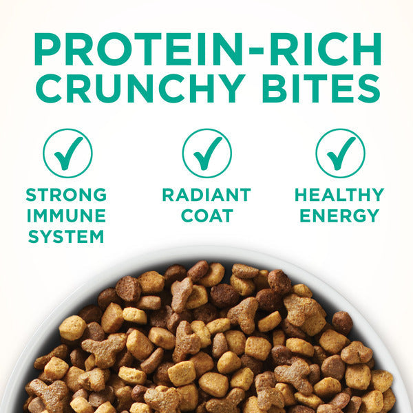 Purina ONE Natural Dry Cat Food, Sensitive Skin & Stomach Formula