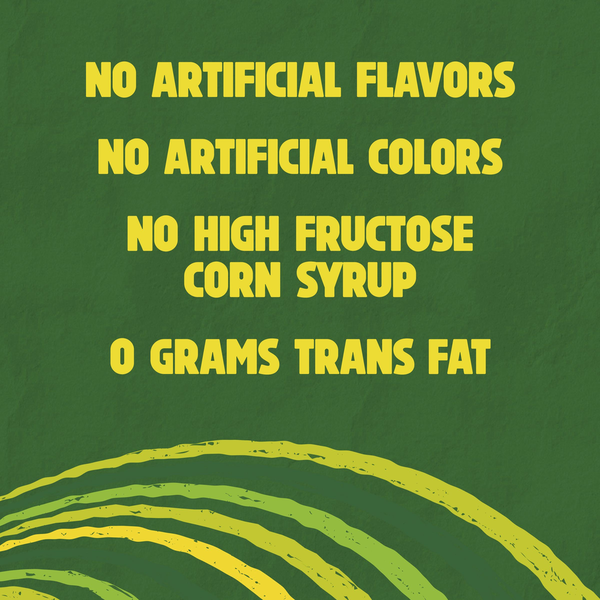 Nature Valley Blueberry Oat Soft Baked Breakfast Bars
