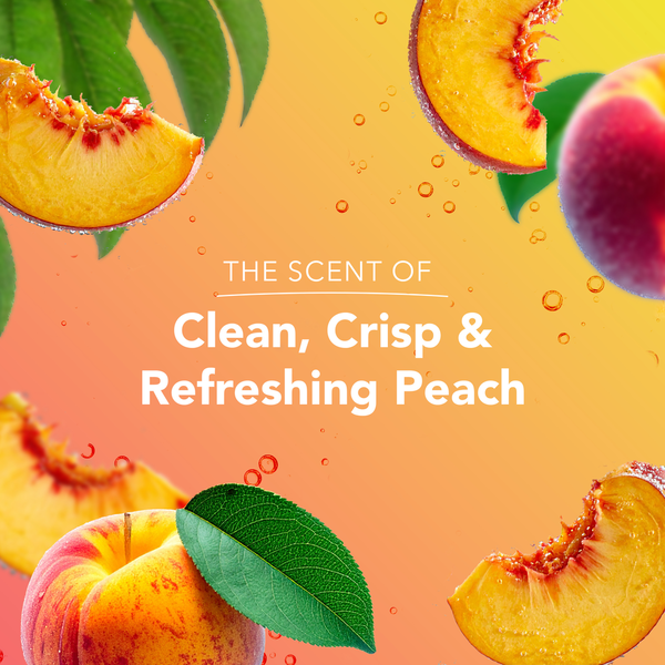 Safeguard Antibacterial Hand Soap Notes of Peach