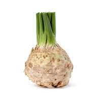 Celery Root (Knob)️