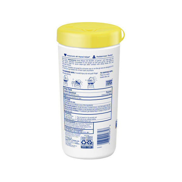 Wet Ones Hand Wipes Canister, Tropical Splash, 40ct Canister