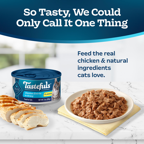Blue Buffalo Tastefuls Natural Wet Food for Adult Cats, Flaked Chicken Entrée in Gravy DestGlow