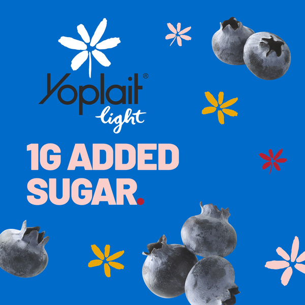 Yoplait Light Blueberry Patch Fat Free Yogurt Cup