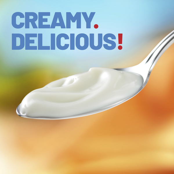 Yoplait Light Very Vanilla Fat Free Yogurt Cup