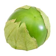 Tomatillo️ DestGlow