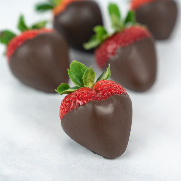 Dolci Frutta Hard Chocolate Shell