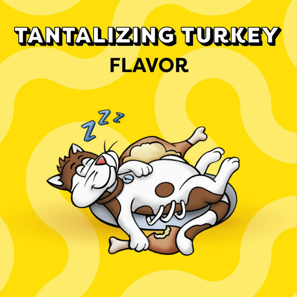 TEMPTATIONS Classic Crunchy and Soft Cat Treats Turkey Flavor