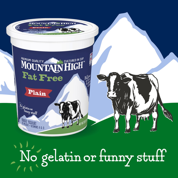 Mountain High Yoghurt Fat Free Plain Yogurt DestGlow