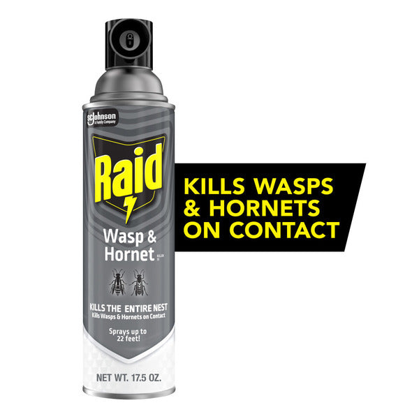 Raid® Wasp & Hornet Killer, Outdoor Flying Insect Spray
