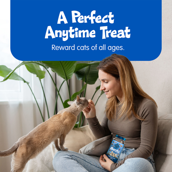 Blue Buffalo Bursts Crunchy Cat Treats, Chicken