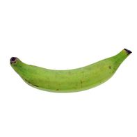 Plantain️