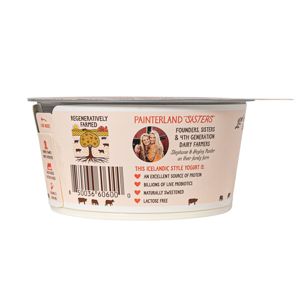 Painterland Sisters Plain Organic Skyr Yogurt