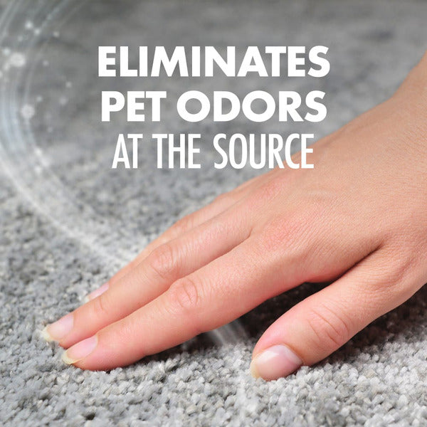 Arm & Hammer Carpet Odor Eliminator