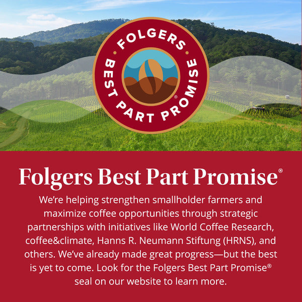 Folgers Instant Iced Coffee