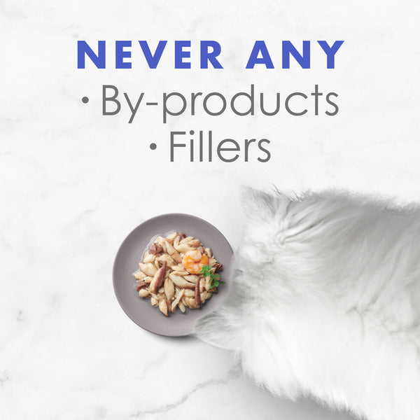 Purina Fancy Feast Wet Cat Food Complement, Appetizers Oceanfish With a Shrimp Topper in Broth