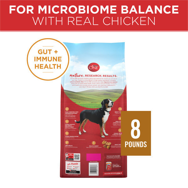 Purina ONE Chicken and Rice Formula Dry Dog Food