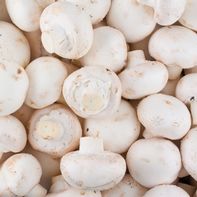 White Mushroom️