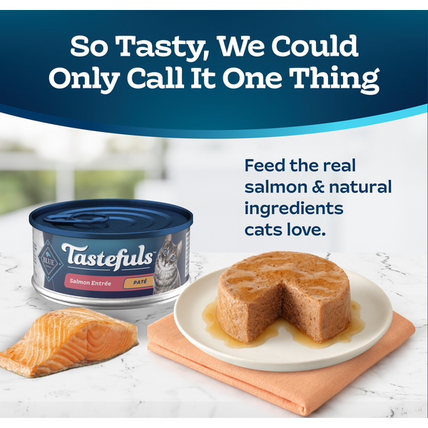 Blue Buffalo Tastefuls Natural Pate Wet Cat Food, Salmon Entrée