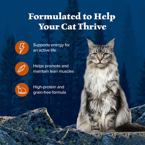 Blue Buffalo Wilderness Wild Delights High Protein Grain Free Wet Cat Food, Chicken & Turkey DestGlow