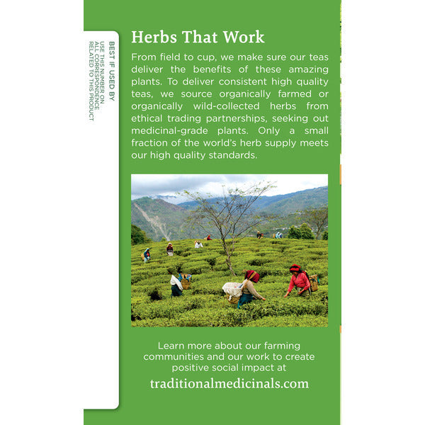 Traditional Medicinals Organic Green Tea Matcha with Toasted Rice, Caffeine Free Herbal Tea DestGlow