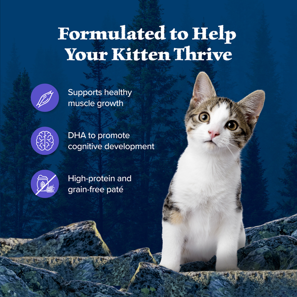 Blue Buffalo Wilderness High Protein Grain Free, Natural Kitten Pate Wet Cat Food, Chicken