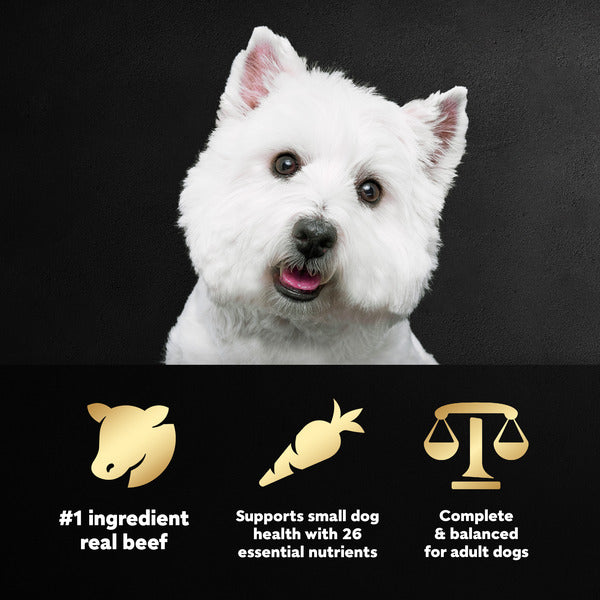Cesar Small Breed Dry Dog Food Filet Mignon Flavor with Spring Vegetables Garnish, 12 lb. Bag