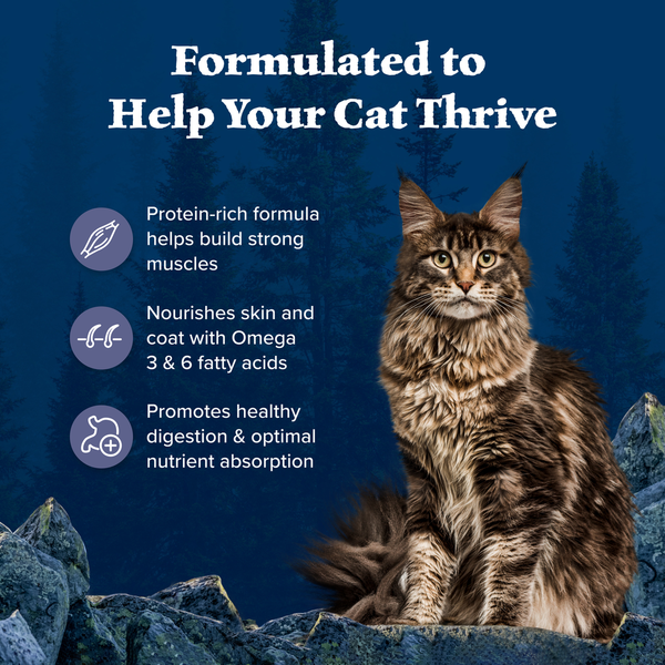 Blue Buffalo Wilderness High Protein, Natural Adult Dry Cat Food, Chicken