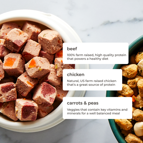 Freshpet Fresh Dog Food, Chunky Beef & Carrot Recipe Roll