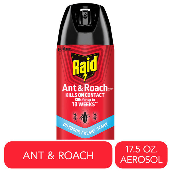 Raid® Ant and Roach Killer Insecticide Aerosol Spray, Outdoor Fresh® Scent