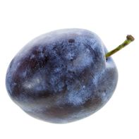Empress Plum️