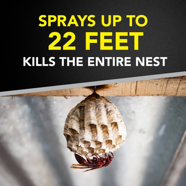 Raid® Wasp & Hornet Killer, Outdoor Flying Insect Spray