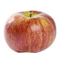 Cortland Apple️