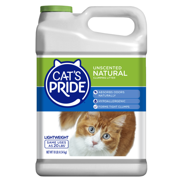 Cat&