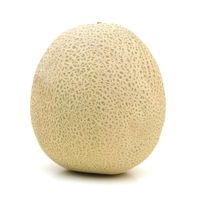 Cantaloupe️