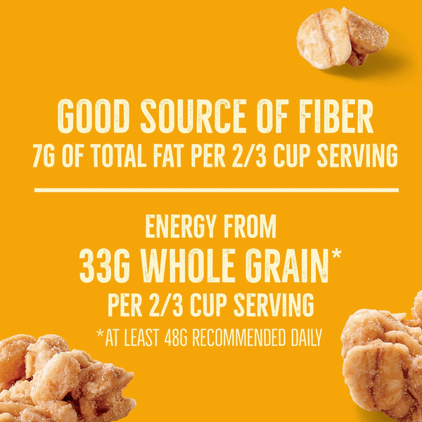 Nature Valley Protein Oats and Honey Granola